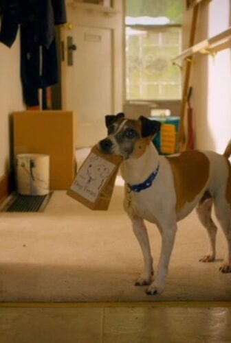 فيلم Treasure Hounds 2017 مترجم