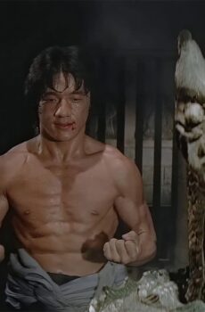 فيلم Shao Lin Mu Ren Xiang 1976 مترجم