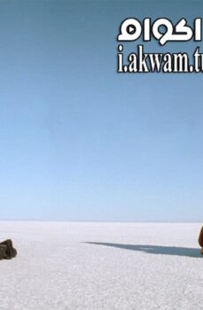 فيلم August 32nd on Earth 1998 مترجم