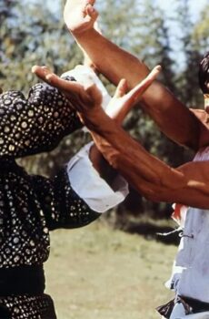 فيلم The Fearless Hyena 1979 مترجم