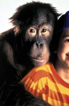 فيلم Dunston Checks In 1996 مترجم