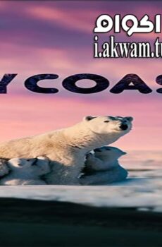 فيلم Icy Coast 2020 مترجم