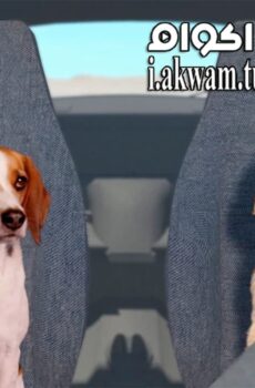 فيلم Fast and Furriest 2017 مترجم