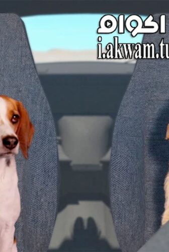 فيلم Fast and Furriest 2017 مترجم