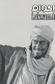 فيلم King Richard and the Crusaders 1954 مترجم