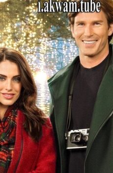 فيلم Merry Matrimony 2015 مترجم