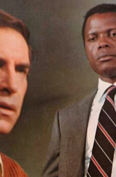 فيلم They Call Me Mister Tibbs 1970 مترجم