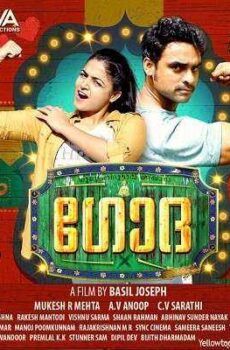 فيلم Godha 2017 مترجم