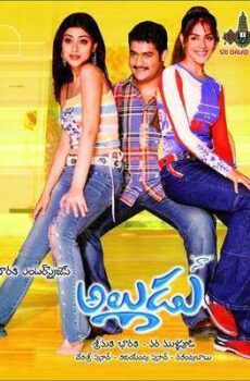 فيلم Naa Alludu 2005 مترجم