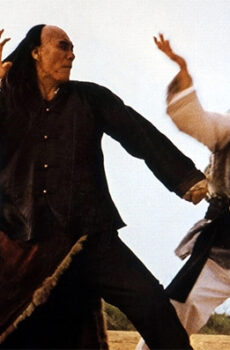 فيلم Snake and Crane Arts of Shaolin 1978 مترجم