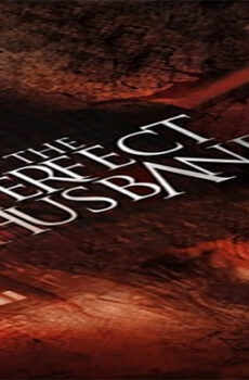فيلم The Perfect Husband 2014 مترجم