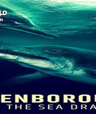 فيلم Attenborough and the Sea Dragon 2018 مترجم
