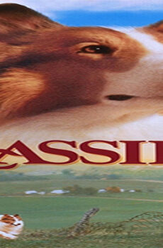 فيلم Lassie 1994 مترجم