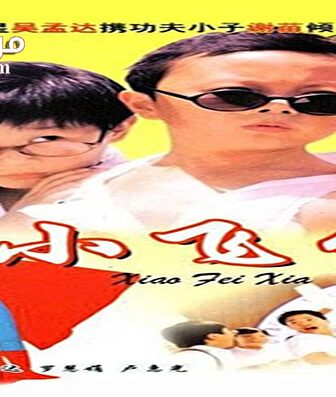 فيلم Teenage Master 1995 مترجم