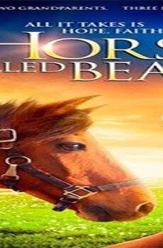 فيلم A Horse Called Bear 2015 مترجم