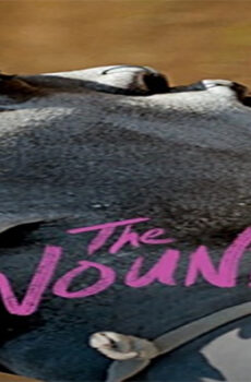 فيلم The Wound 2017 مترجم
