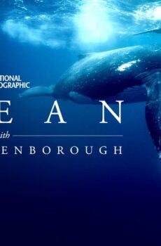 فيلم Ocean with David Attenborough 2025 مترجم