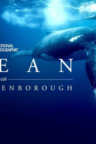 فيلم Ocean with David Attenborough 2025 مترجم