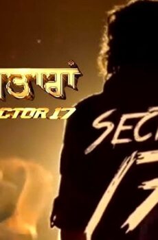 فيلم Sector 17 2024 مترجم