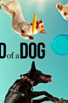 فيلم Inside the Mind of a Dog 2024 مترجم