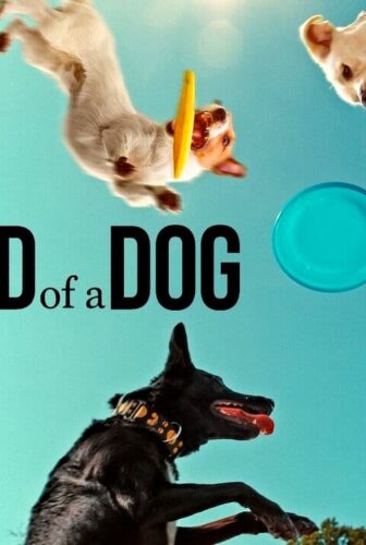 فيلم Inside the Mind of a Dog 2024 مترجم