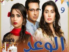 مسلسل باكستاني الحلقة 9 مترجمة
