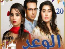 مسلسل باكستاني الحلقة 20 مترجمة