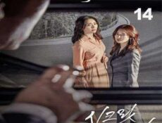 مسلسل الأم السرية الحلقة 14 مترجمة