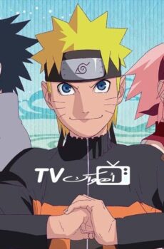 انمي ناروتو شيبودن Naruto: Shippuden الحلقة 63 مترجمة