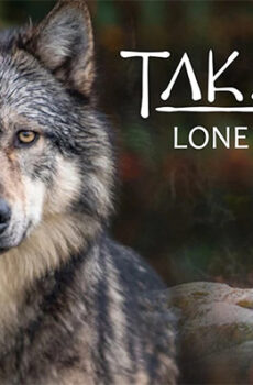 فيلم Takaya Lone Wolf 2019 مترجم