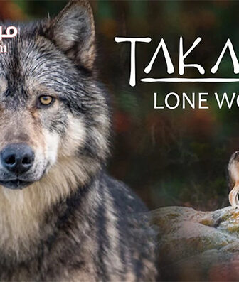 فيلم Takaya Lone Wolf 2019 مترجم