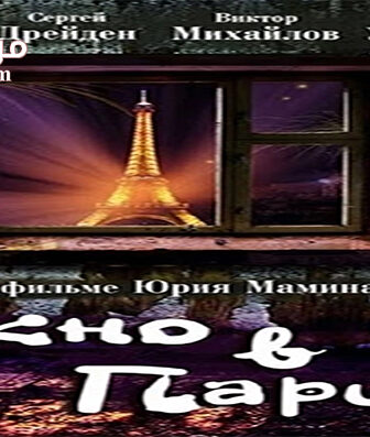 فيلم Window to Paris 1993 مترجم