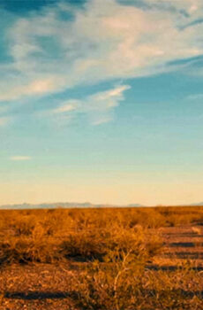 فيلم It Stains the Sands Red 2016 مترجم