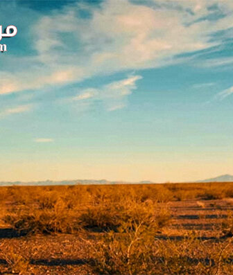 فيلم It Stains the Sands Red 2016 مترجم