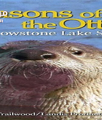 فيلم Seasons of the Otter 2020 مترجم