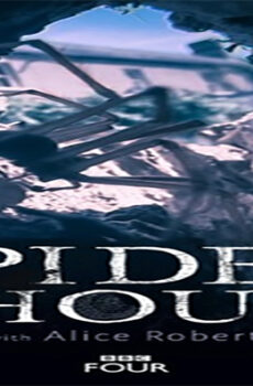فيلم Spider House 2014 مترجم