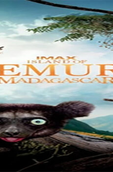 فيلم Island of Lemurs Madagascar 2014 مترجم