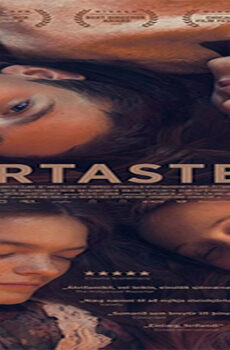 فيلم Heartstone 2016 مترجم