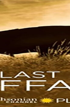 فيلم The Last Buffalo 2017 مترجم