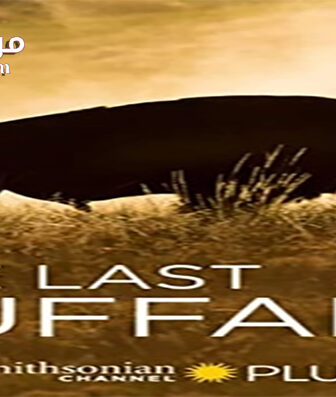 فيلم The Last Buffalo 2017 مترجم