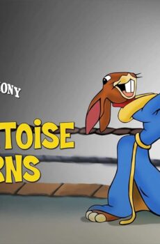 فيلم Toby Tortoise Returns 1936 مترجم