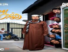 مسلسل شباب البومب الجزء الموسم 14 الحلقة 8