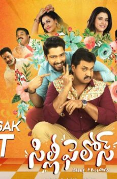 فيلم Silly Fellows 2018 مترجم