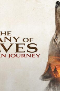 فيلم In The Company Of Wolves An American Journey 2026 مترجم