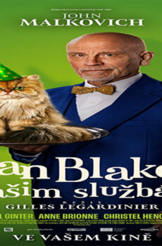 فيلم Paper bride 2023 مترجم