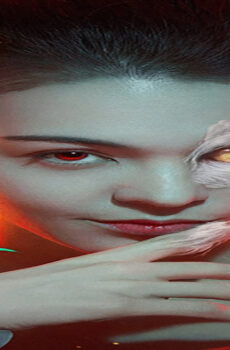 فيلم Love Death and Cat 2024 مترجم