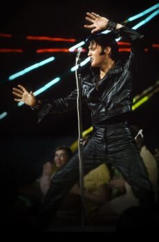 فيلم Return of the King: The Fall and Rise of Elvis Presley 2024 مترجم