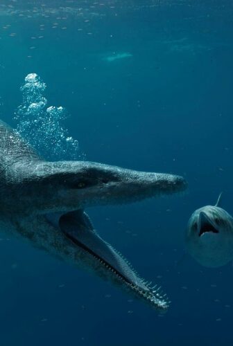 فيلم Attenborough and the Giant Sea Monster 2024 مترجم