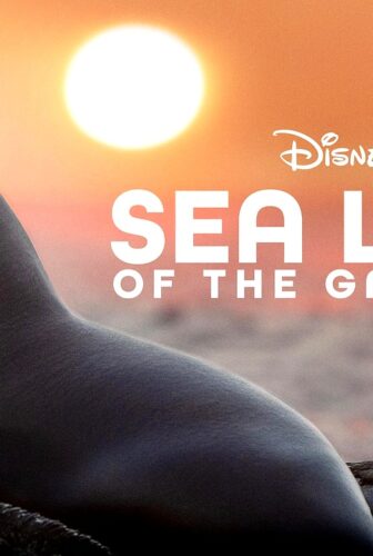 فيلم Sea Lions of the Galapagos 2025 مترجم