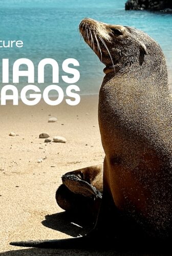 فيلم Guardians of the Galapagos 2025 مترجم